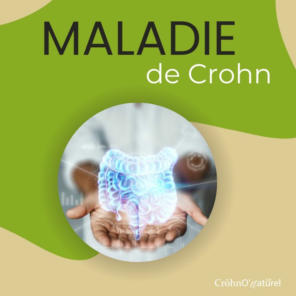 Balise ALT : "Alimentation équilibrée et maladie de Crohn - Des choix nutritifs pour une digestion saine"
